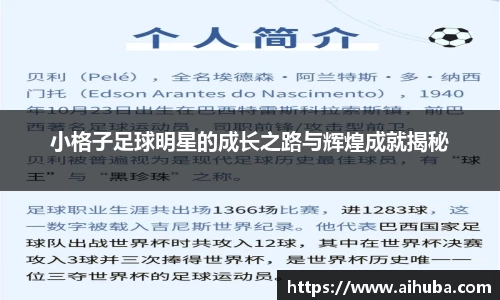 熊猫体育官网入口