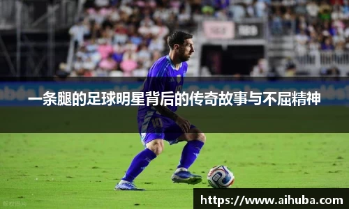 熊猫体育官网入口